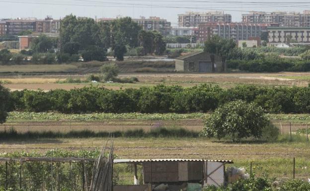 El Plan de la Huerta recuperará 240 hectáreas degradadas que ahora son